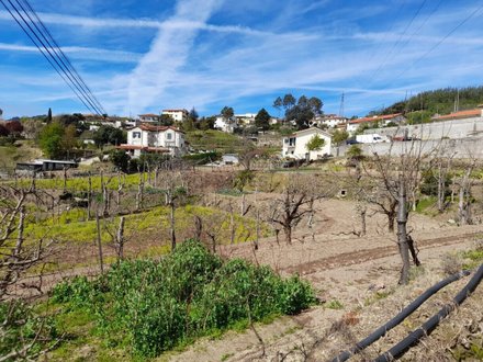 4630m² Land in Amarante, Portugal No. 59368