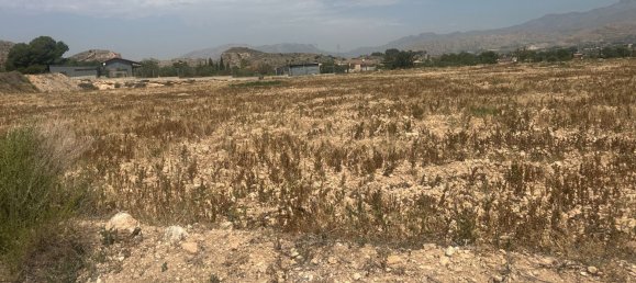 4800m² Land in Alicante, Spain No. 140620 6