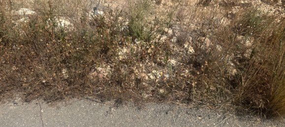 4800m² Land in Alicante, Spain No. 140620 5