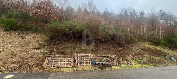 Grundstück in Ortenaukreis, Germany, Nr. 49332 2