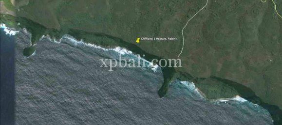 Terrain à Nusa Penida, Indonesia 10000m² No. 3829 7