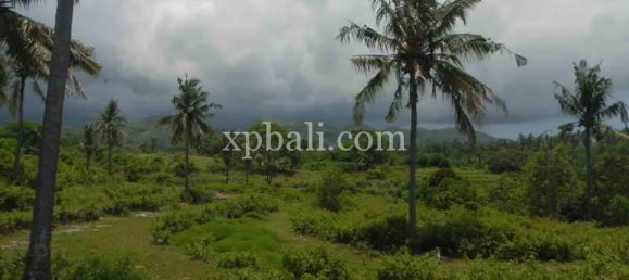 Terrain à Nusa Penida, Indonesia 10000m² No. 3829 8