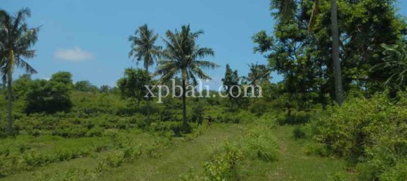 Terrain à Nusa Penida, Indonesia 10000m² No. 3829 4