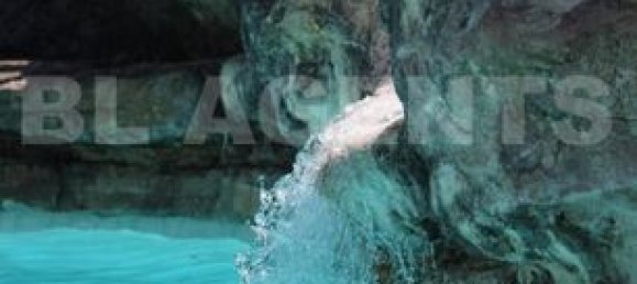 Castillos de 4 dormitorios en Arcy-sur-Cure, France No. 309647 15