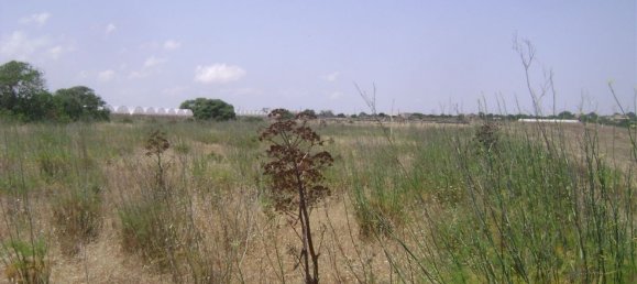 Terreno em Portopalo di Capo Passero, Italy 29036 m² N.º 59866 3