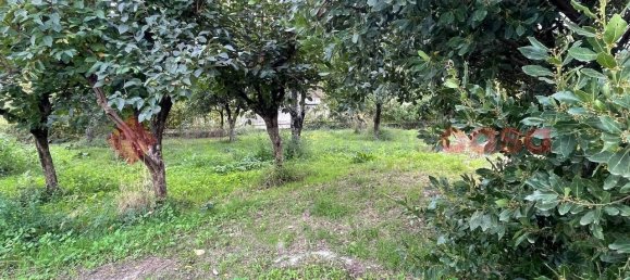 6 rooms House in Mercato San Severino, Italy No. 111082 25