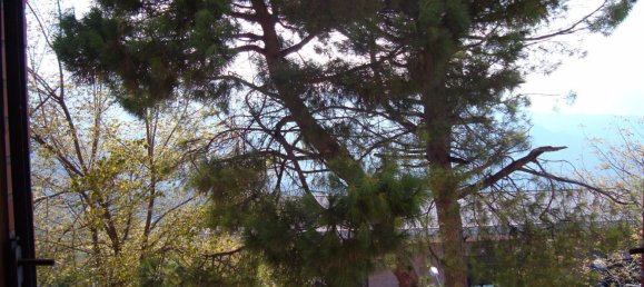 7-Zimmer Wohnung in Cupramontana, Italy, Nr. 253903 5