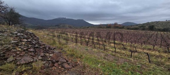  Land in Le Bosc, France No. 205416 12