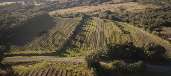  Land in Le Bosc, France No. 205416 7