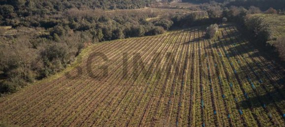  Land in Le Bosc, France No. 205416 3