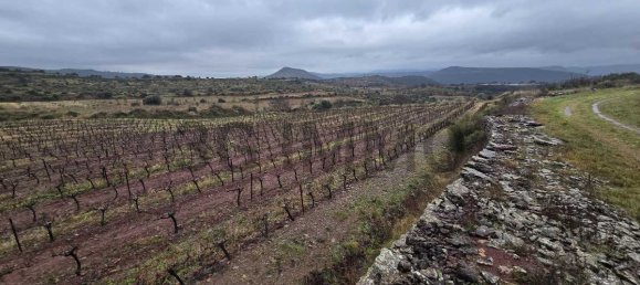  Land in Le Bosc, France No. 205416 13