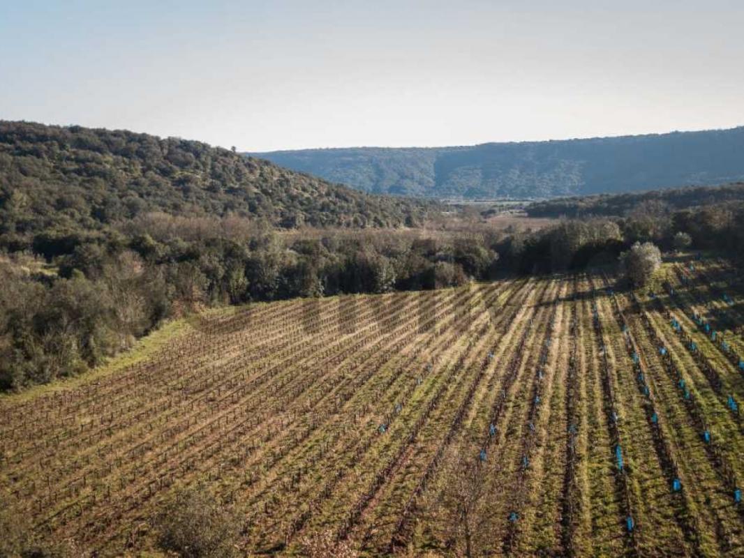  Land in Le Bosc, France No. 205416