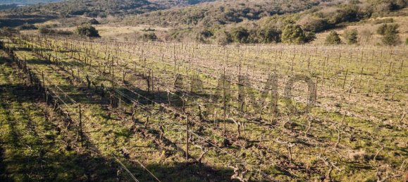  Land in Le Bosc, France No. 205416 8