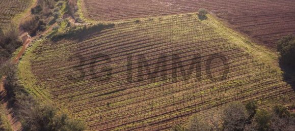  Land in Le Bosc, France No. 205416 4