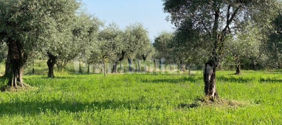 Terreno en Moniga del Garda, Italy 3730 m² No. 293794 5