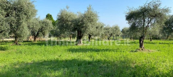 Terreno en Moniga del Garda, Italy 3730 m² No. 293794 8