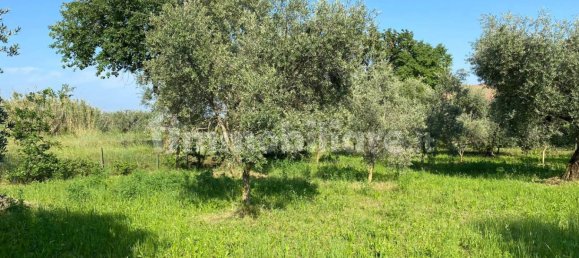 Terreno en Moniga del Garda, Italy 3730 m² No. 293794 14