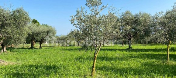 Terreno en Moniga del Garda, Italy 3730 m² No. 293794 3