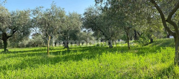 Terreno en Moniga del Garda, Italy 3730 m² No. 293794 17