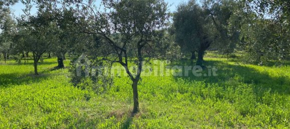 Terreno en Moniga del Garda, Italy 3730 m² No. 293794 15