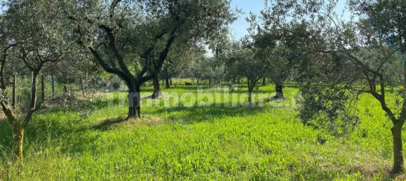 Terreno en Moniga del Garda, Italy 3730 m² No. 293794 16