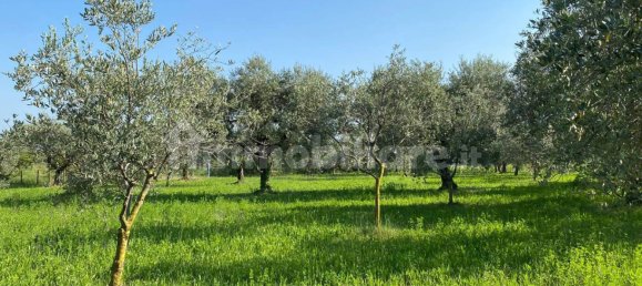 Terreno en Moniga del Garda, Italy 3730 m² No. 293794 13