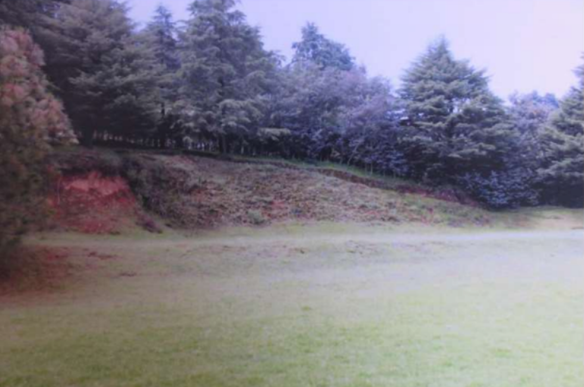  Land in Mexico No. 204259