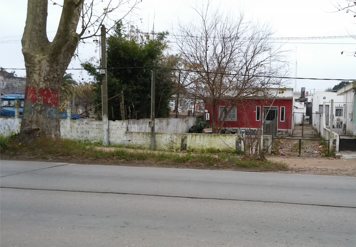 449m² Building in Montevideo, Uruguay No. 16338