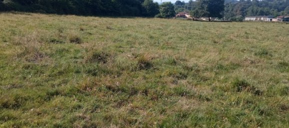  Land in Las Regueras, Spain No. 162907 3