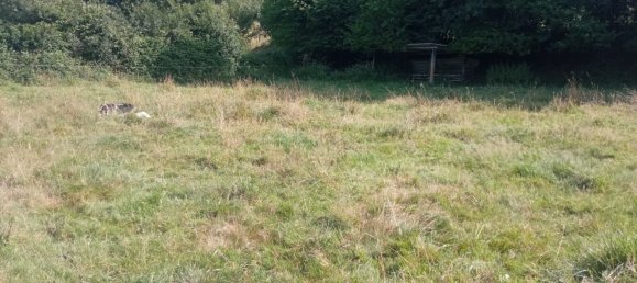  Land in Las Regueras, Spain No. 162907 2