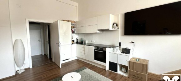 Propiedad comercial en Spittal an der Drau, Austria 567 m² No. 125527 11