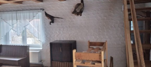 20-Zimmer Gewerbliche Immobilie in Passau, Germany, Nr. 35457 38