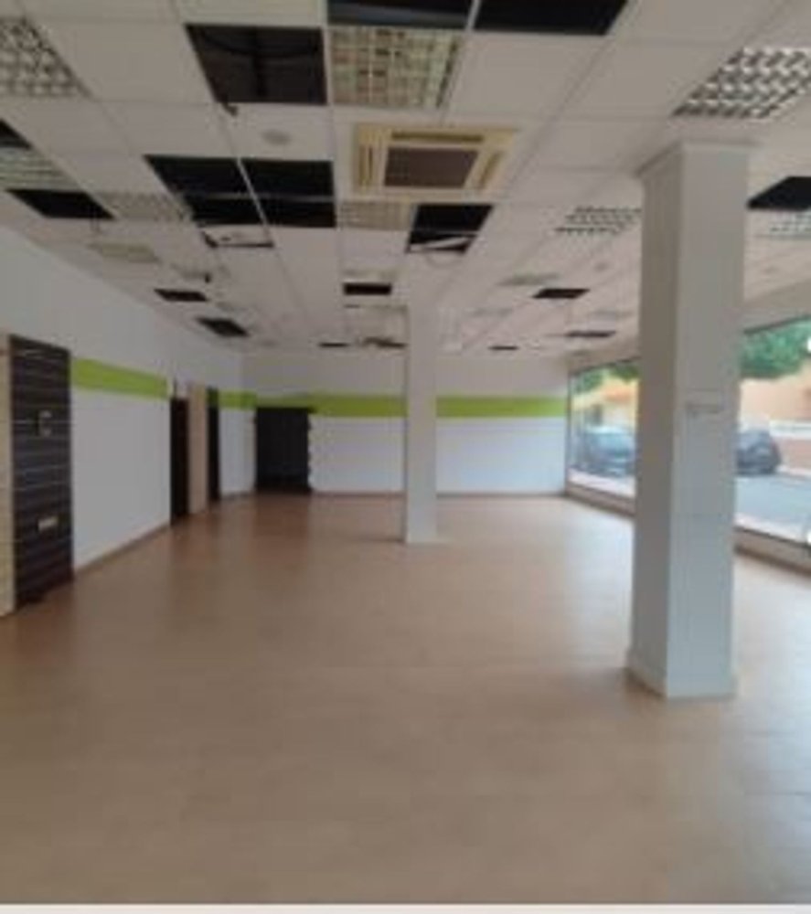 Gewerbliche Immobilie in El Ejido, Spain 172m², Nr. 235248