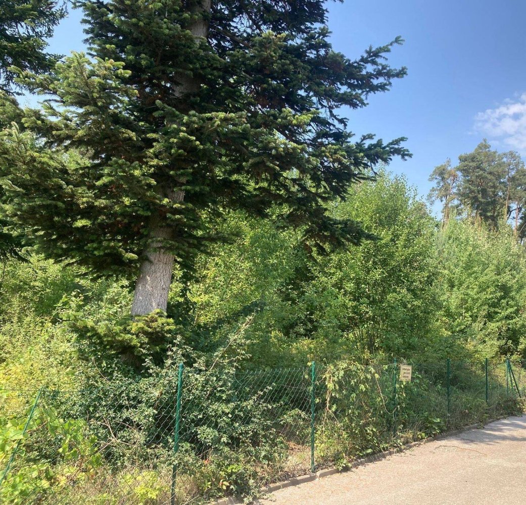 Grundstück in Schwabach, Germany, Nr. 347112