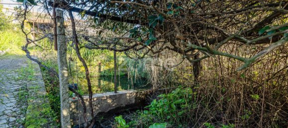 3 Schlafzimmer Haus in Fanzeres, Portugal, Nr. 102957 10