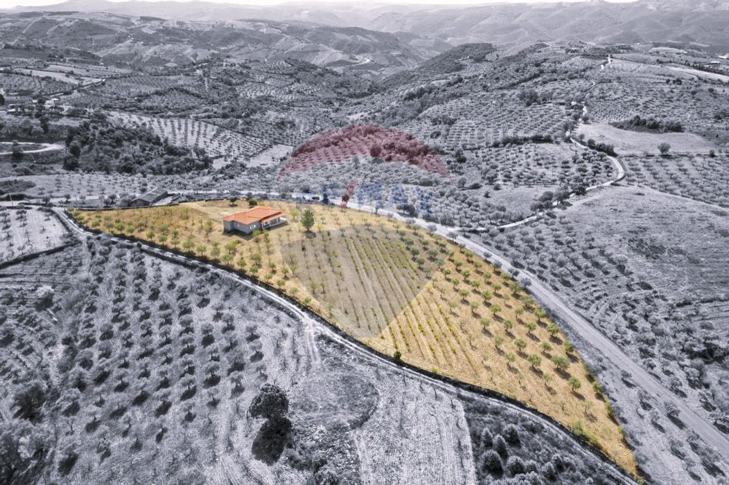 3 bedrooms House in Alfandega da Fe, Portugal No. 157376