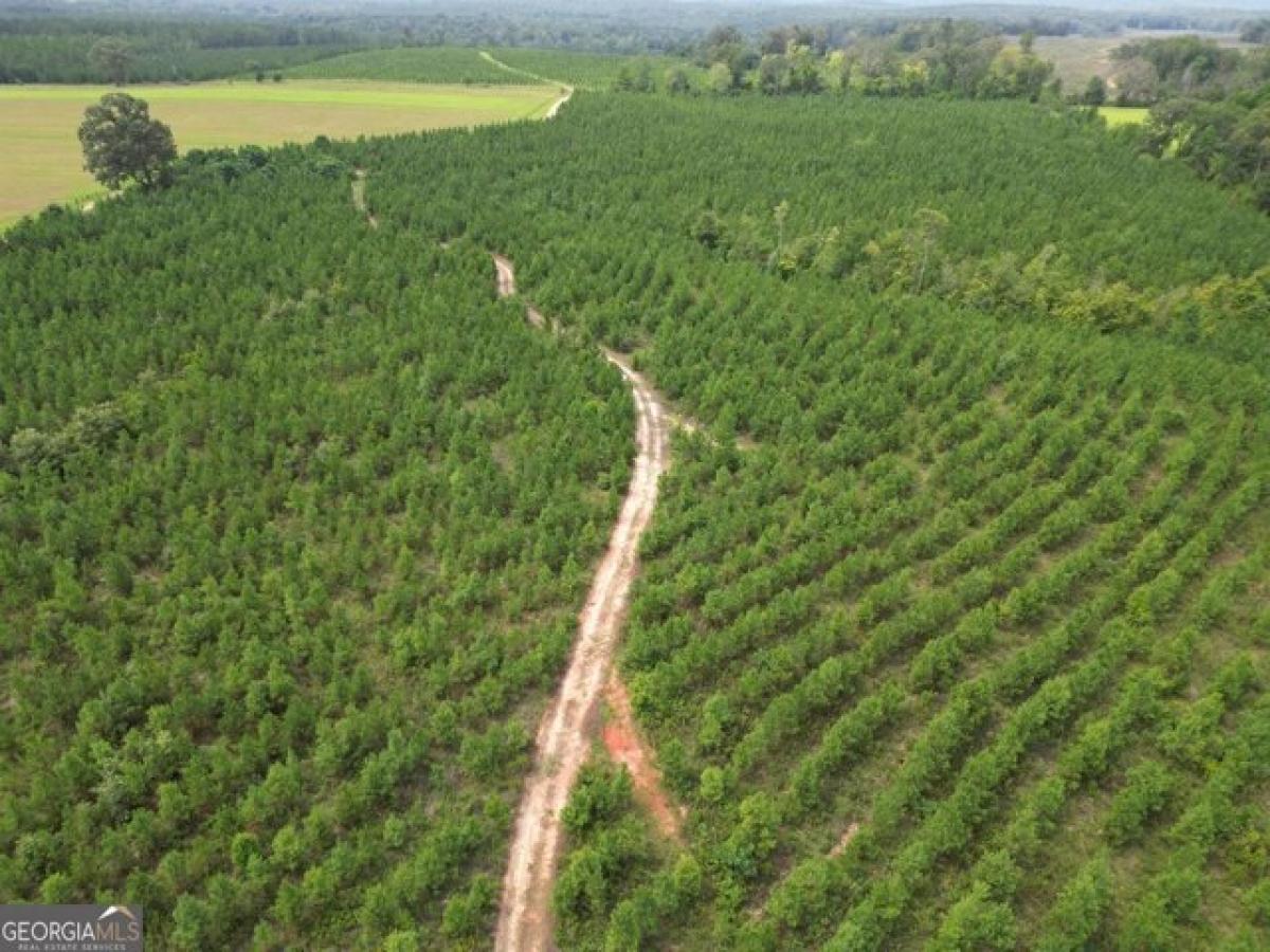  Land in Irwinton, USA No. 528688