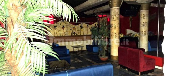 Коммерческая недвижимость с 4 комнатами в Альбино, Италия № 377131 16