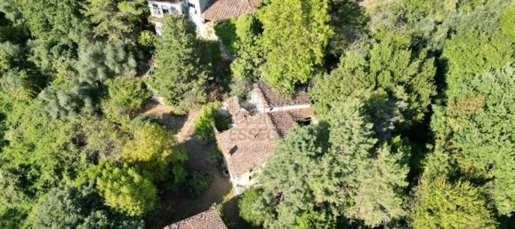 5 rooms House in Lucca, Italy No. 103475 3