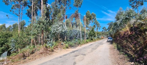 Terreno em Talhadas, Portugal 810 m² N.º 68487 5