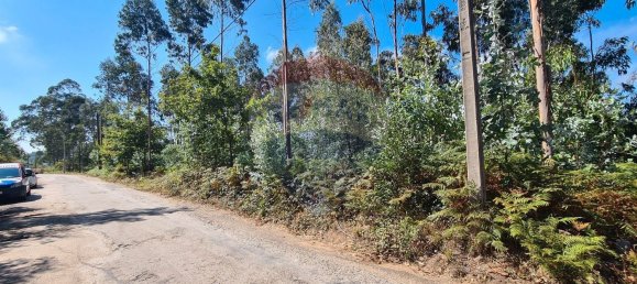 Terreno em Talhadas, Portugal 810 m² N.º 68487 2