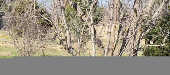 Земельный участок 530м² в Сен-Алегзандр, Франция № 98733 7