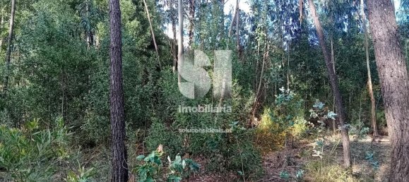  قطعة أرض في Sobreira, Portugal 1420متر مربع رقم 55069 11