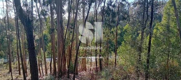  قطعة أرض في Sobreira, Portugal 1420متر مربع رقم 55069 10