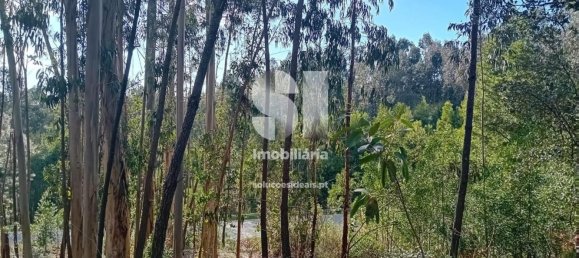  قطعة أرض في Sobreira, Portugal 1420متر مربع رقم 55069 17