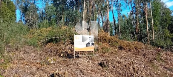  قطعة أرض في Sobreira, Portugal 1420متر مربع رقم 55069 5