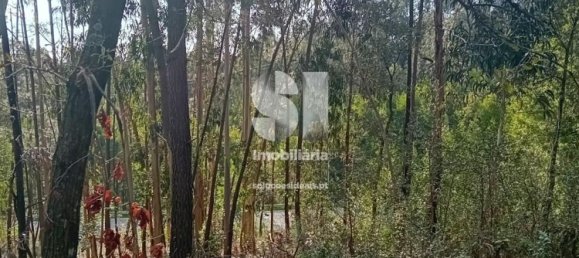  قطعة أرض في Sobreira, Portugal 1420متر مربع رقم 55069 13