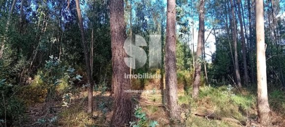  قطعة أرض في Sobreira, Portugal 1420متر مربع رقم 55069 12