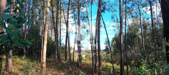  قطعة أرض في Sobreira, Portugal 1420متر مربع رقم 55069 9