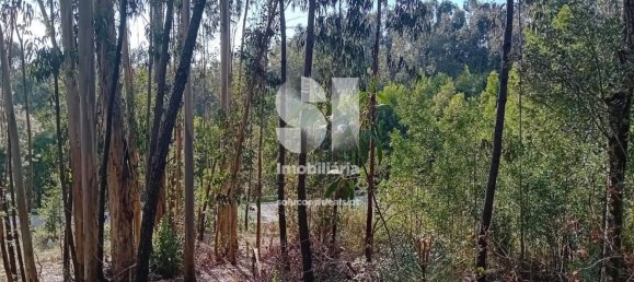  قطعة أرض في Sobreira, Portugal 1420متر مربع رقم 55069 16